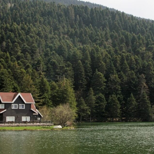 Bolu